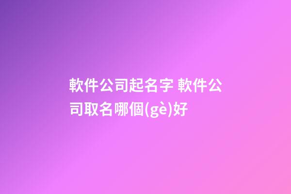 軟件公司起名字 軟件公司取名哪個(gè)好-第1張-公司起名-玄機(jī)派